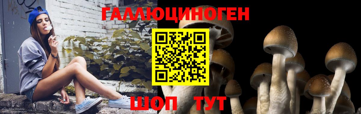 Галлюциногенные грибы Cubensis  Вход с VPN  Клин 